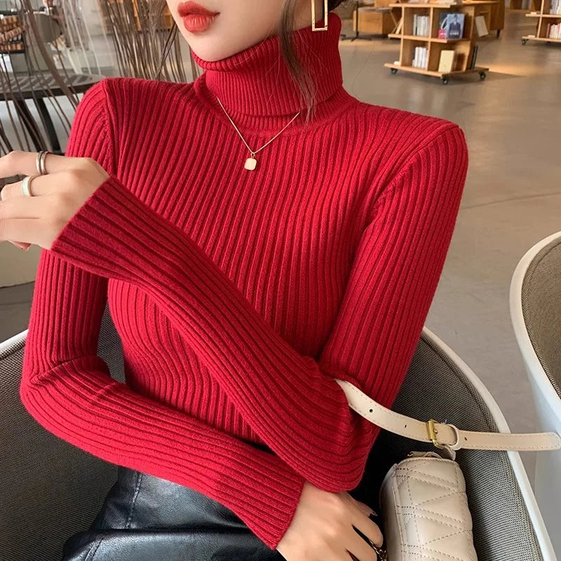 Women's Fitted Ribbed Roll Neck Sweater Casual Knit Layer