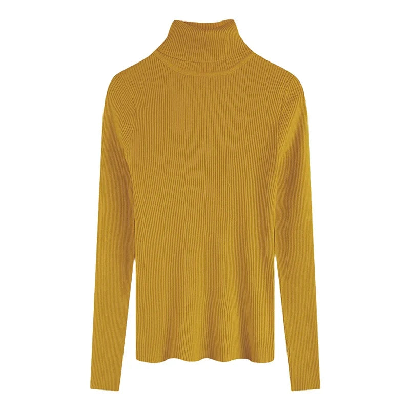 Women's Fitted Ribbed Roll Neck Sweater Casual Knit Layer