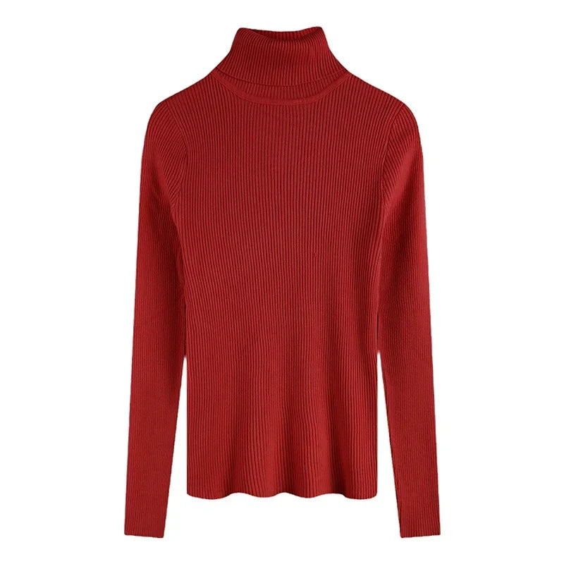Women's Fitted Ribbed Roll Neck Sweater Casual Knit Layer