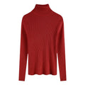 Women's Fitted Ribbed Roll Neck Sweater Casual Knit Layer