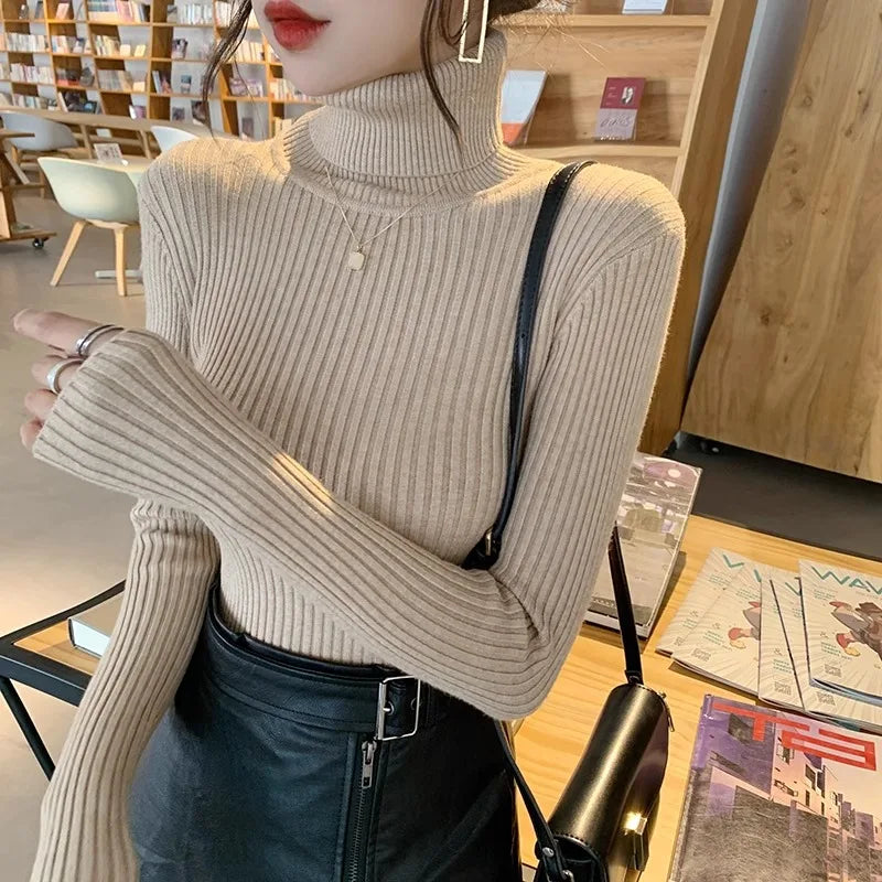Women's Fitted Ribbed Roll Neck Sweater Casual Knit Layer