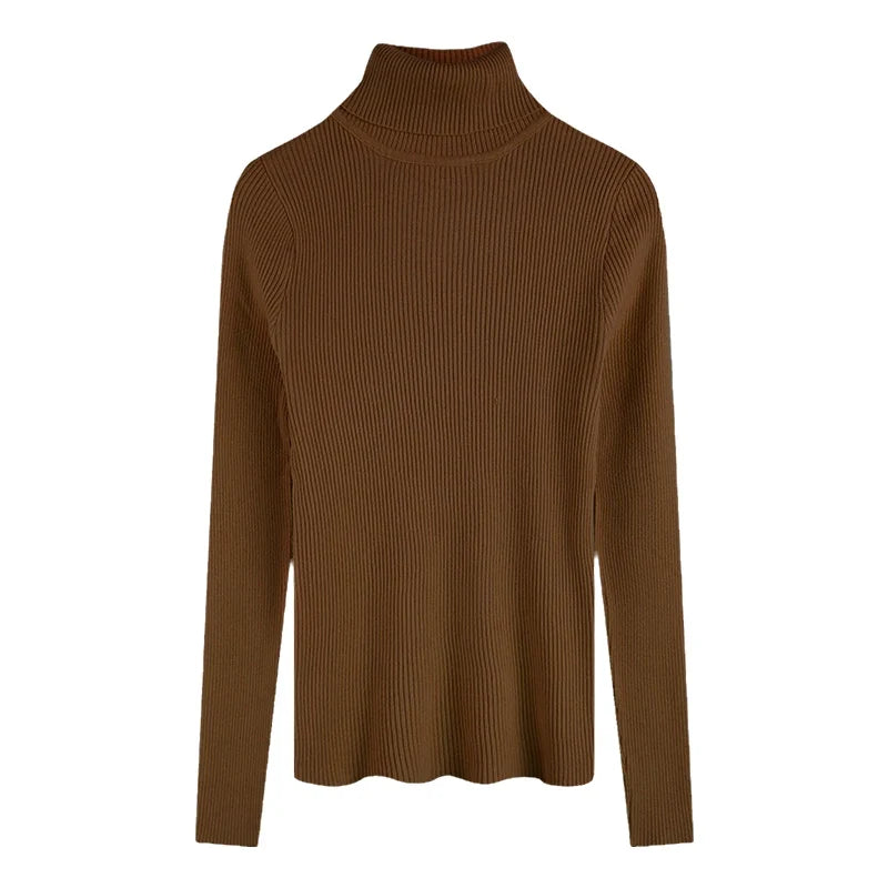 Women's Fitted Ribbed Roll Neck Sweater Casual Knit Layer